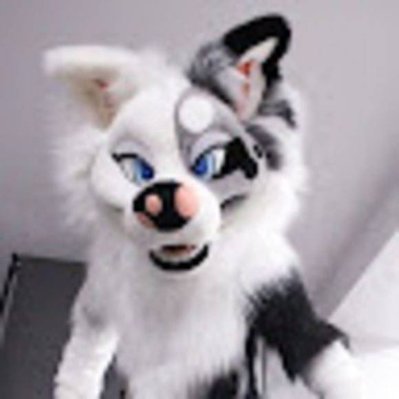 Meet your Posher, Melanie - Picture 1 of 1